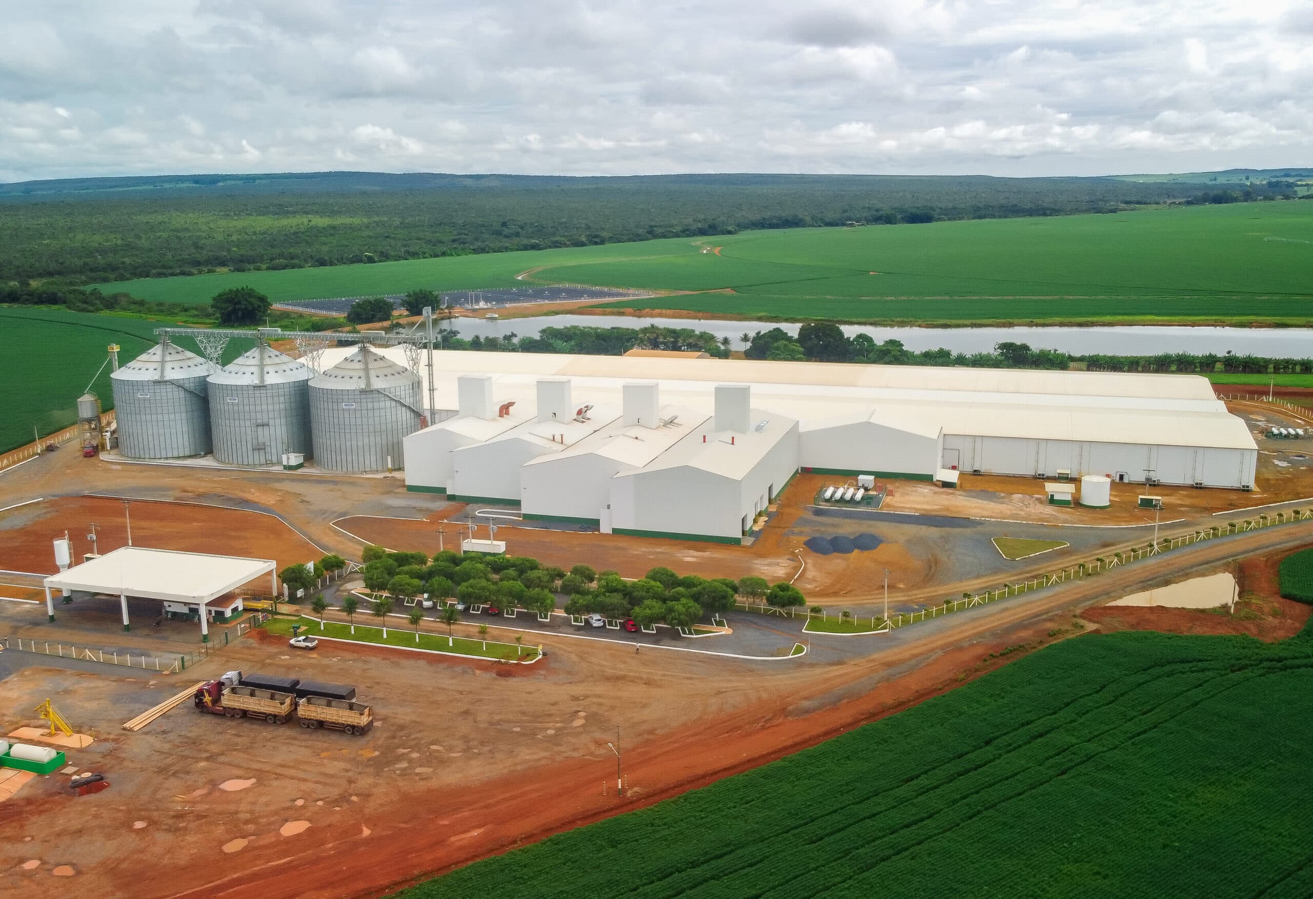 Unidade industrial e campos agrícolas da Boa Safra Sementes